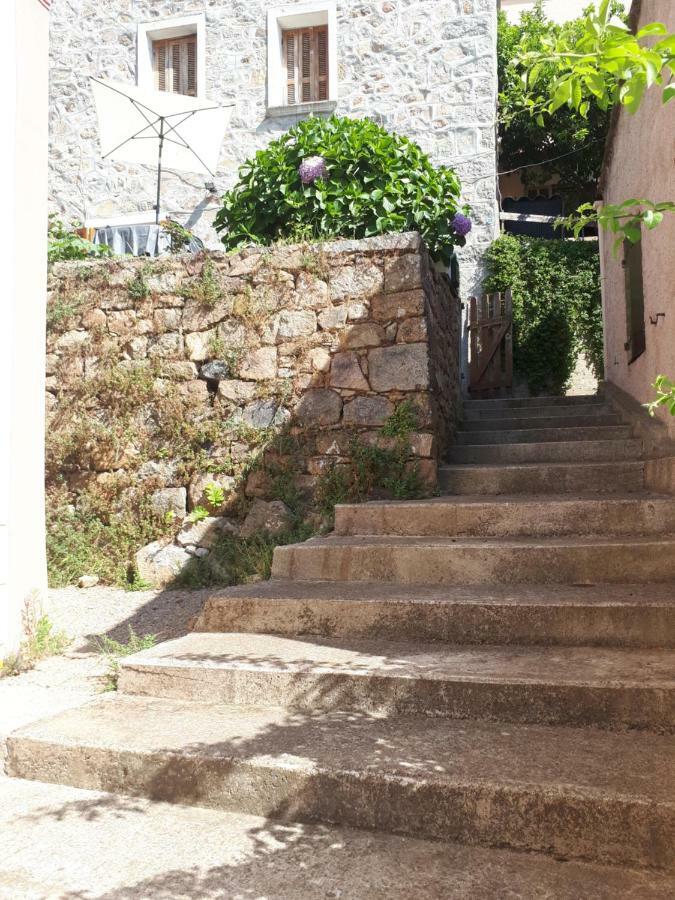 Corse Village Calcatoggio Location Pour 2 Pers Avec Terrasse 5 Kms Des Plages Appartement *