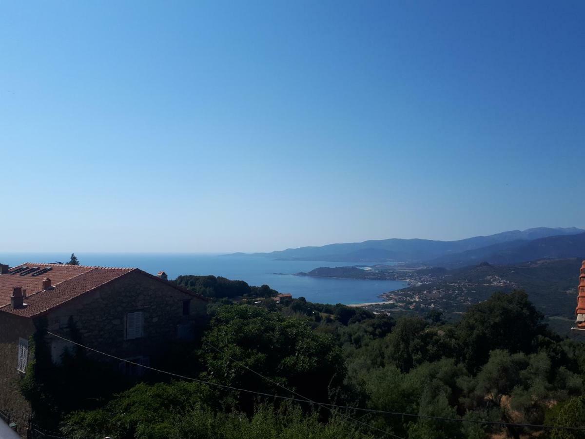 Apartment Corse Village Calcatoggio Location Pour 2 Pers Avec Terrasse 5 Kms Des Plages *